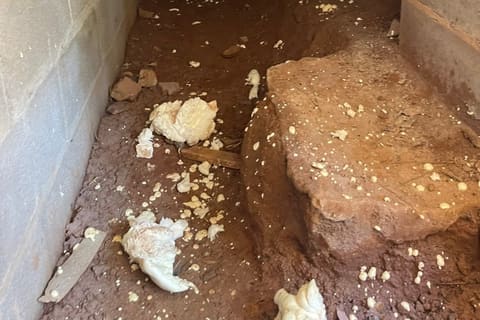 Crawl Space Mold Atlanta — a real Crawl Daddy Experts job