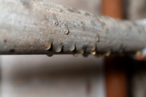crawl-space-encapsulation-near-me-pipe-012026